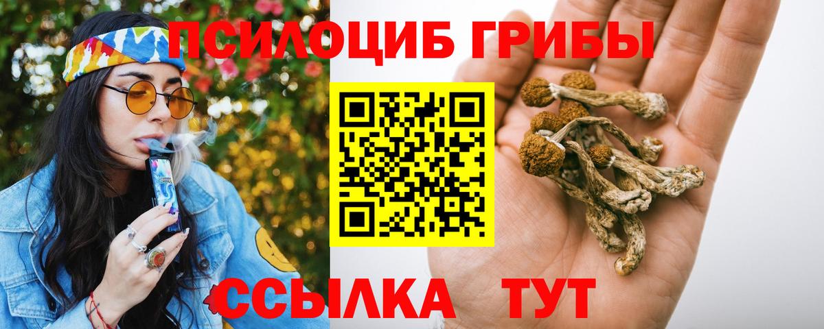 Рязань  Псилоцибиновые грибы Magic Shrooms  Вход с VPN 